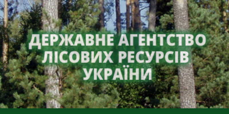 state forestry agency of Ukraine