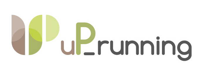 logo uprunning2