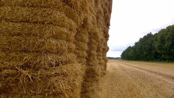 agricultural-crop-residues-and-biomass-from-forestry