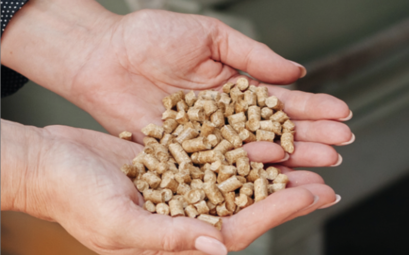 Manual “Comprehensive analysis of the Ukrainian biomass pellets market”