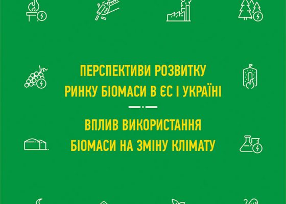 Перспективи розвитку ринку біомаси в ЄС і Україні. Вплив використання біомаси на зміну клімату