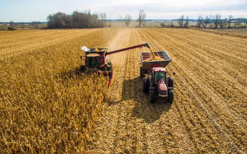 Аналіз виробництва пелет та брикетів з побічної продукції кукурудзи на зерно – Аналітична записка UABIO 23