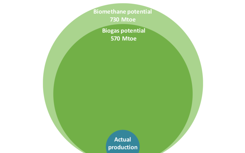 Global outlook for biogas and biomethane by IEA 2020