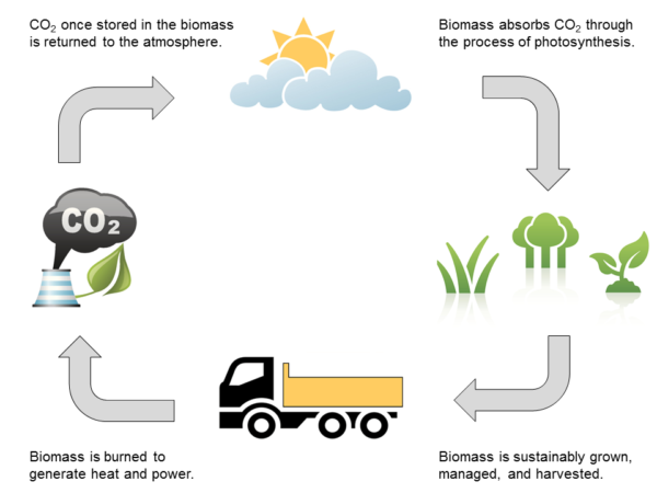 biomass-boiler-houses-still-pay-a-tax-on-co2-a-phenomenon-that-exists