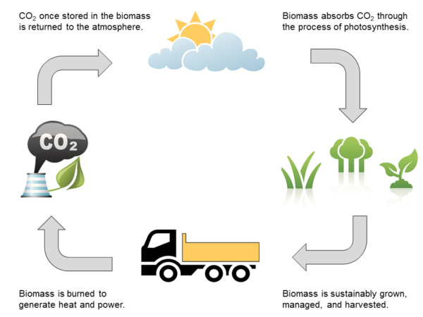 biomass energy process