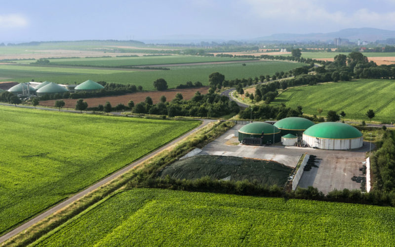 Vision for Ukrainian biogas/biomethane sector development