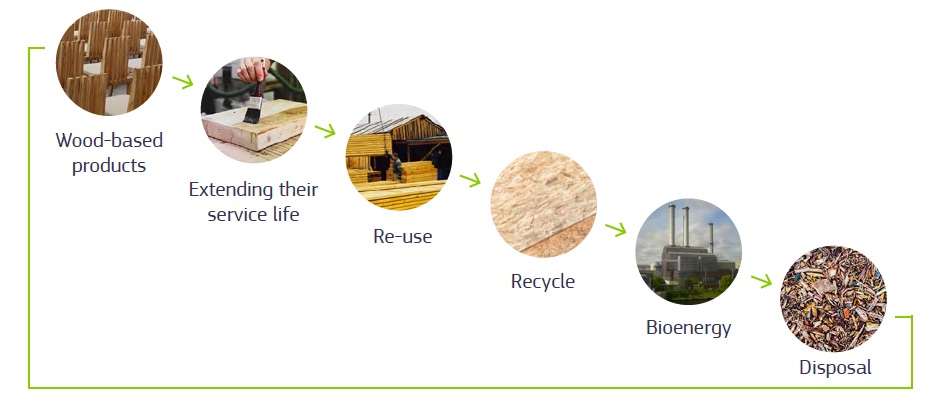 cascading principle of biomass use