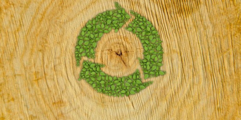 bioenergy_eu