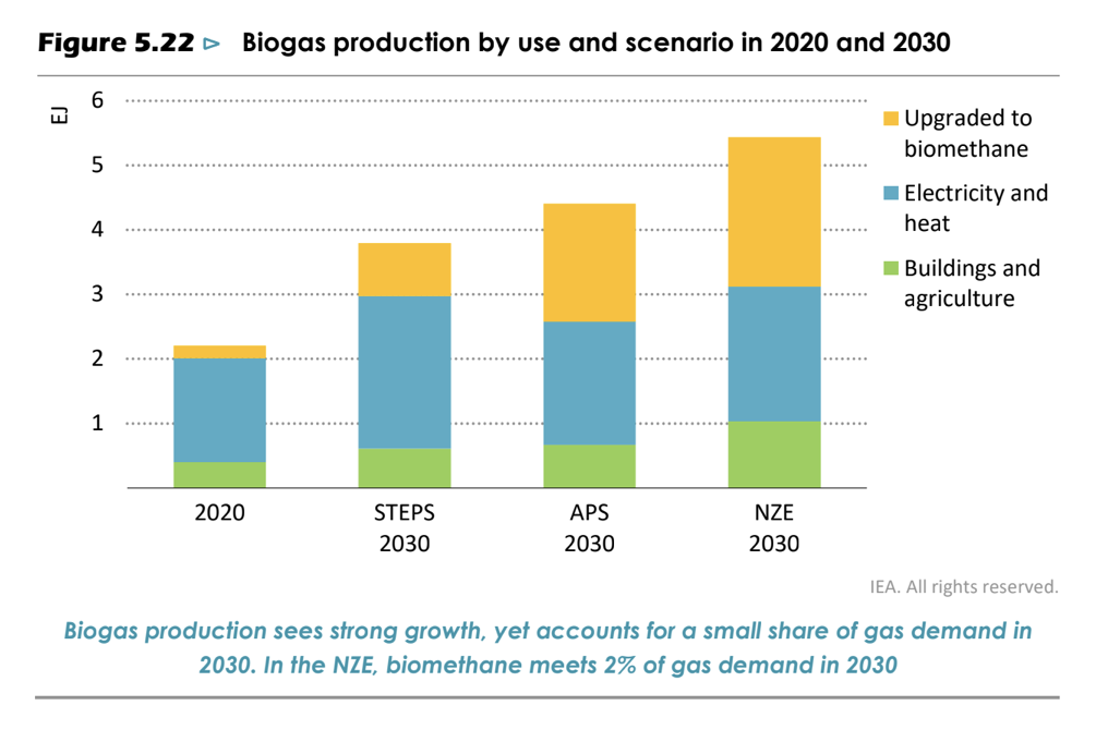 Biogas biomethane production scenarios