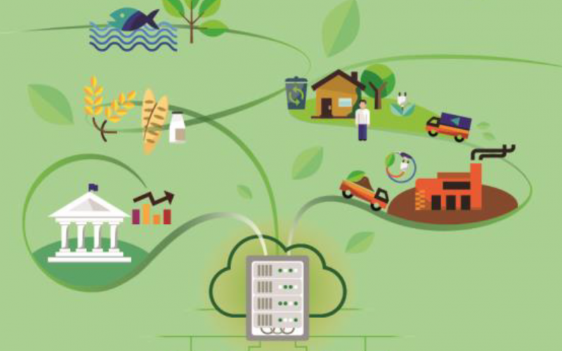 5 main facts about modern bioenergy in the EU