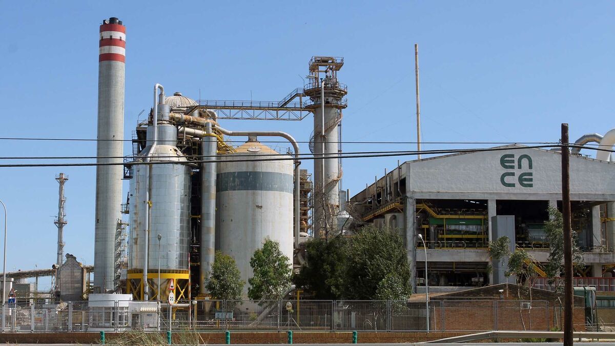 Huelva biomass plant