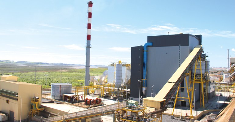 Huelva biomass plant