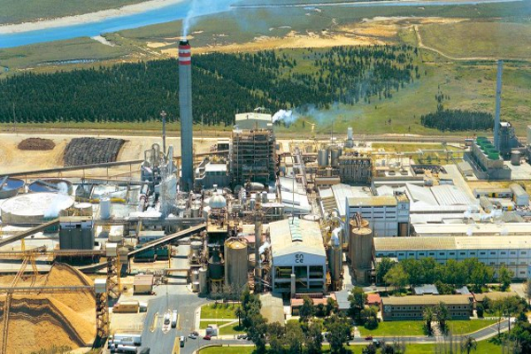 Huelva biomass plant