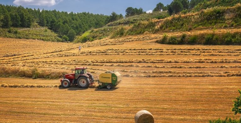 Agrobioheat in Ukraine