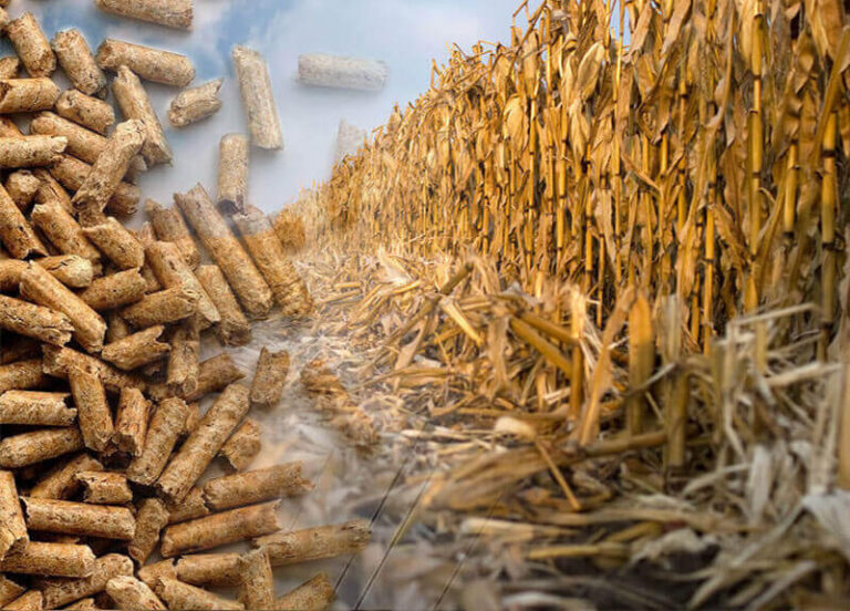 AgroBioHeat: corn to peller