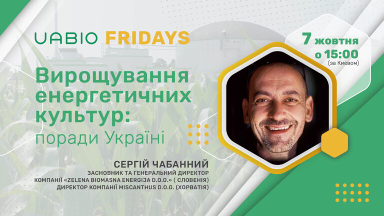 Вирощування енергетичних культур: поради Україні