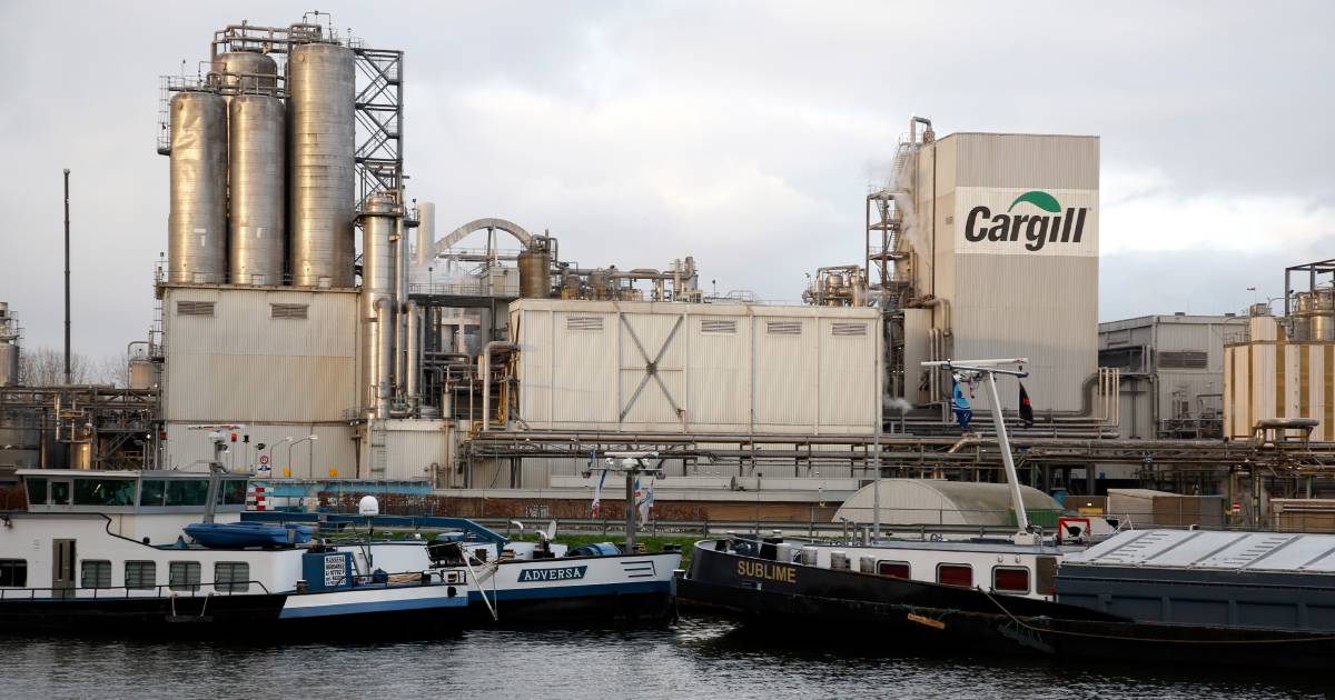 Біодизельний завод у Бельгії Cargill з технологією BDI RepCat