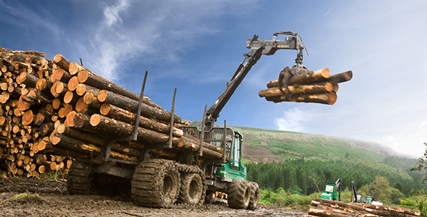 Western Wood Energy Biomass Plant | ТЕС на деревній трісці в Уельсі