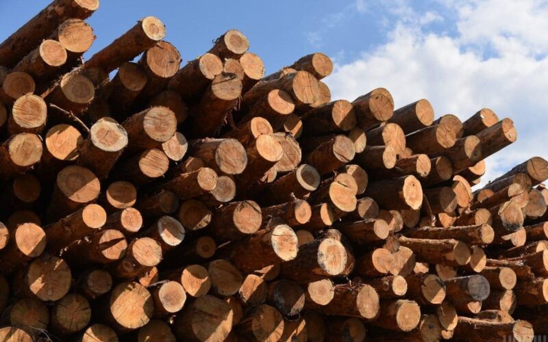 SAF Україна: Аналіз публічних закупівель паливної деревини за 2020-2023 роки