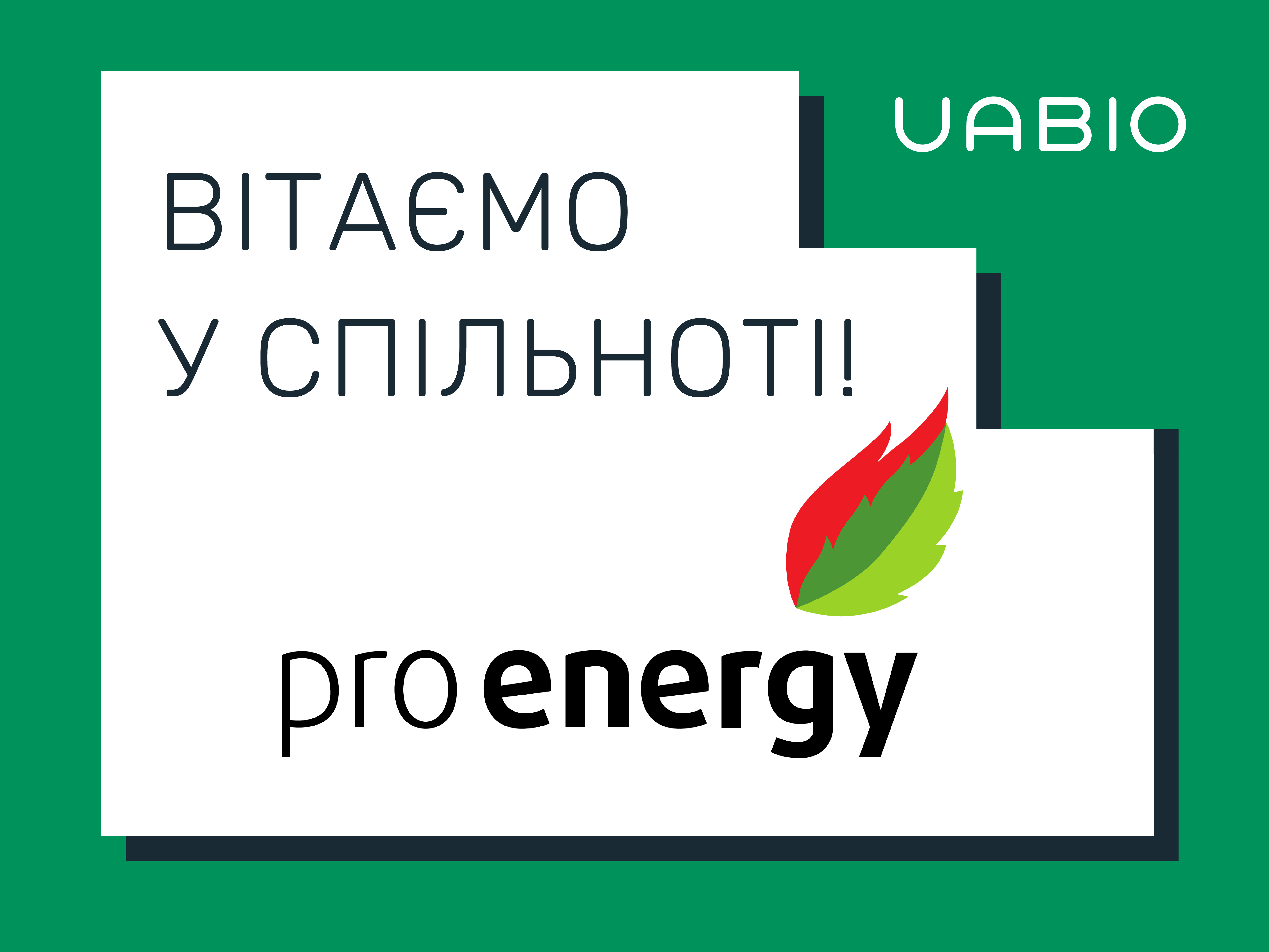 Компанія Pro-Energy
