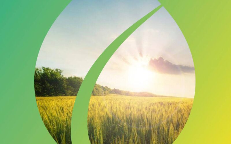 SAF platform: How does biogas contribute to the development of  regenerative agriculture?
