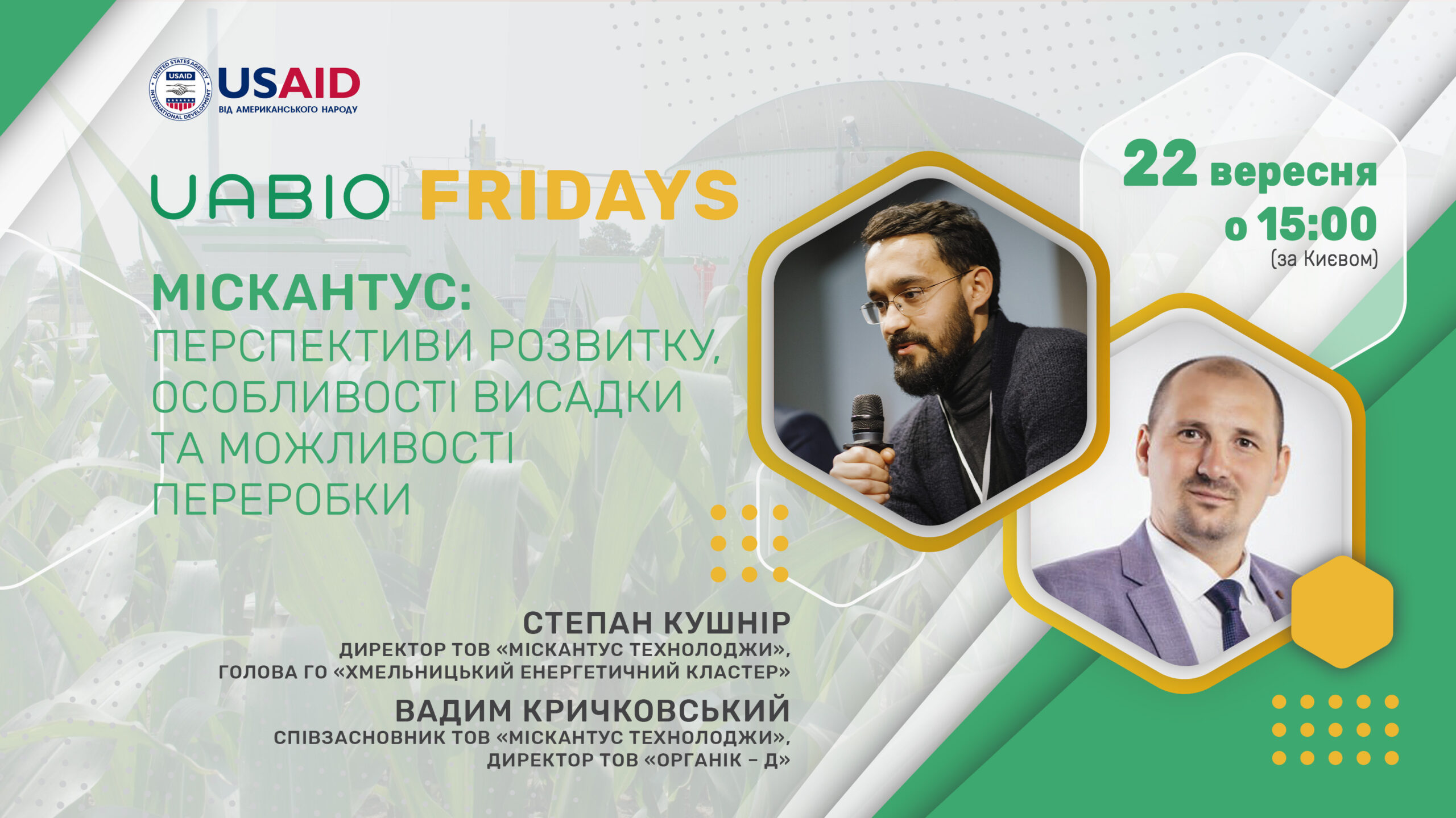 Міскантус: Перспективи розвитку, особливості висадки та можливості переробки