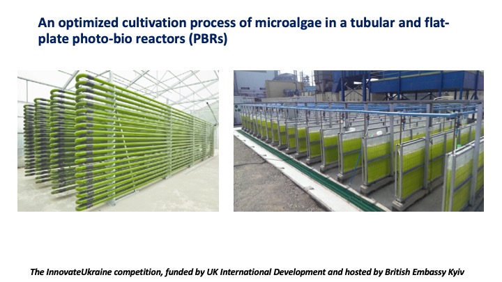 Advanced biomethane production from microalgae grown in digestate from biogas plants