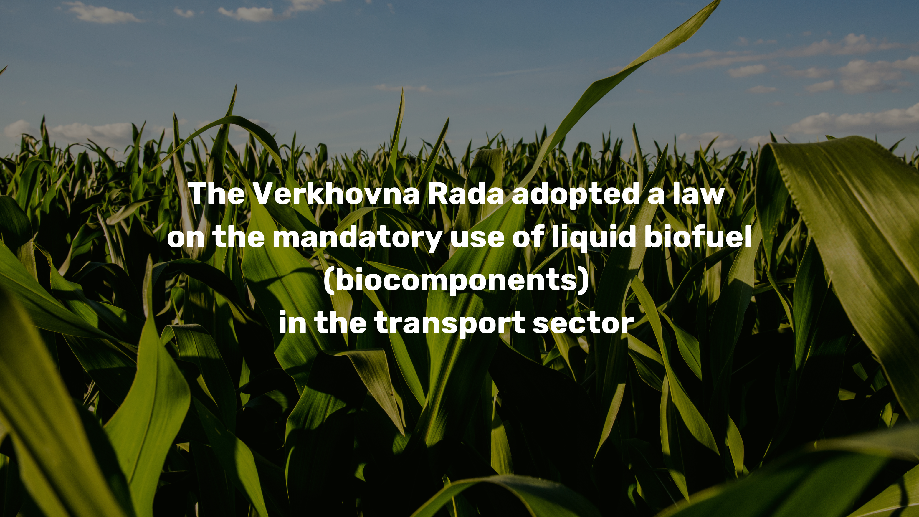 The Parliament of Ukraine has adopted a landmark law mandating the use of liquid biofuels in the transport sector