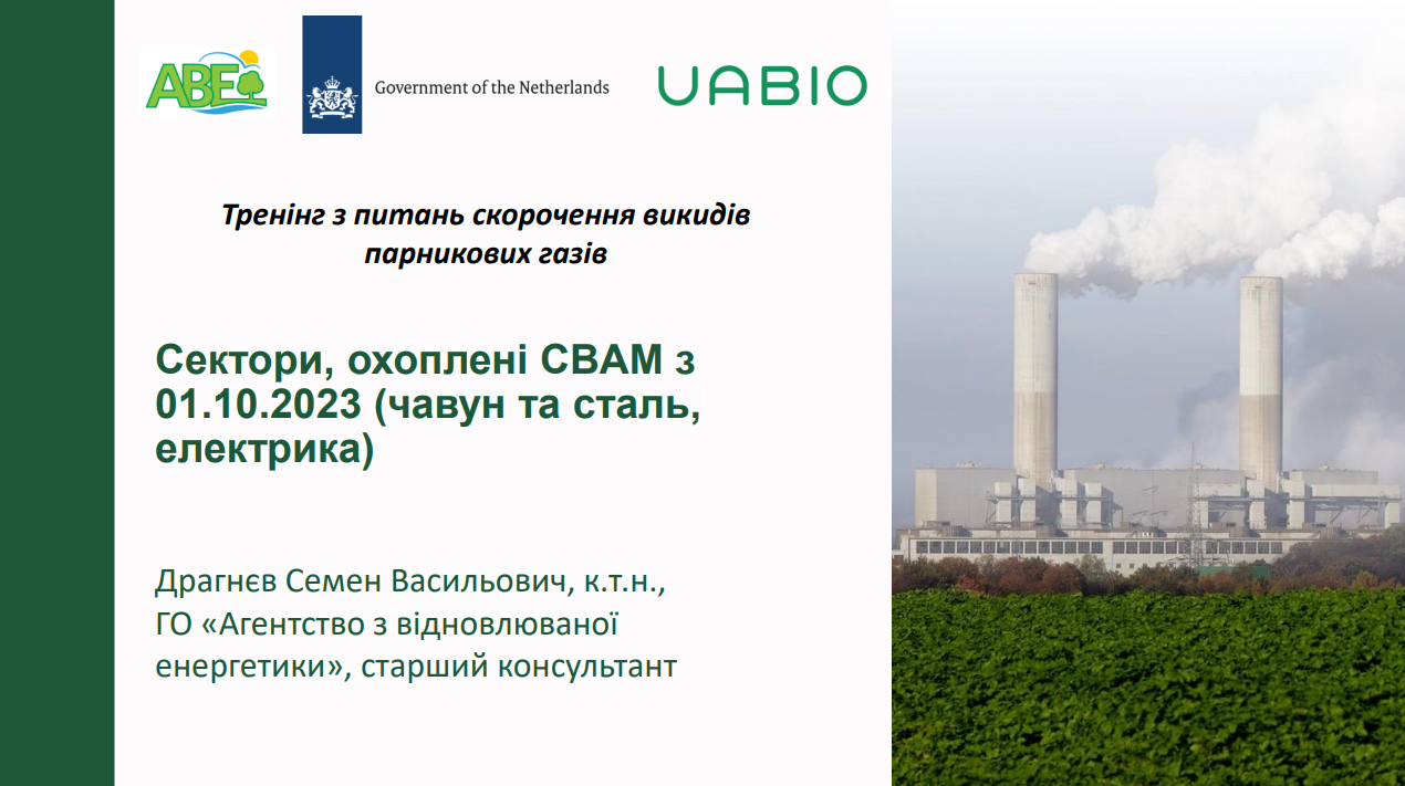 Лекція 3: Сектори, охоплені СВАМ з 01.10.2023 (чавун та сталь, електрика), Семен Драгнєв.