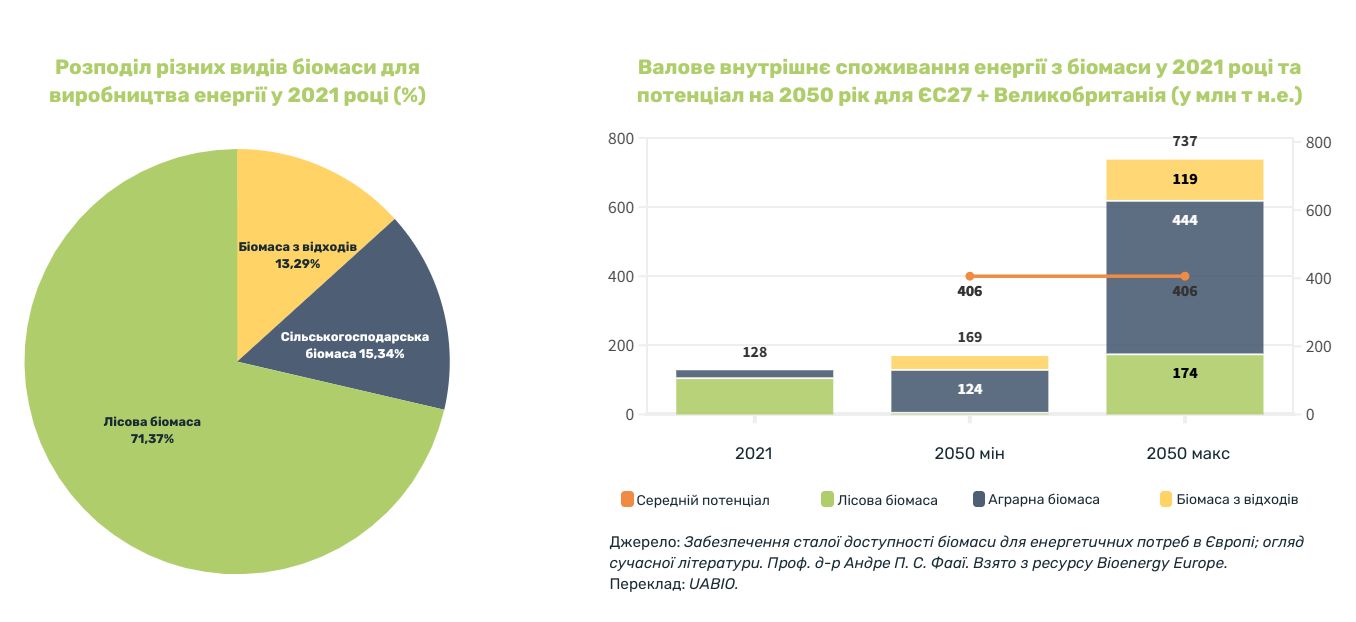 Розподіл різних видів біомаси як сировини для енергії у 2021 році (%)