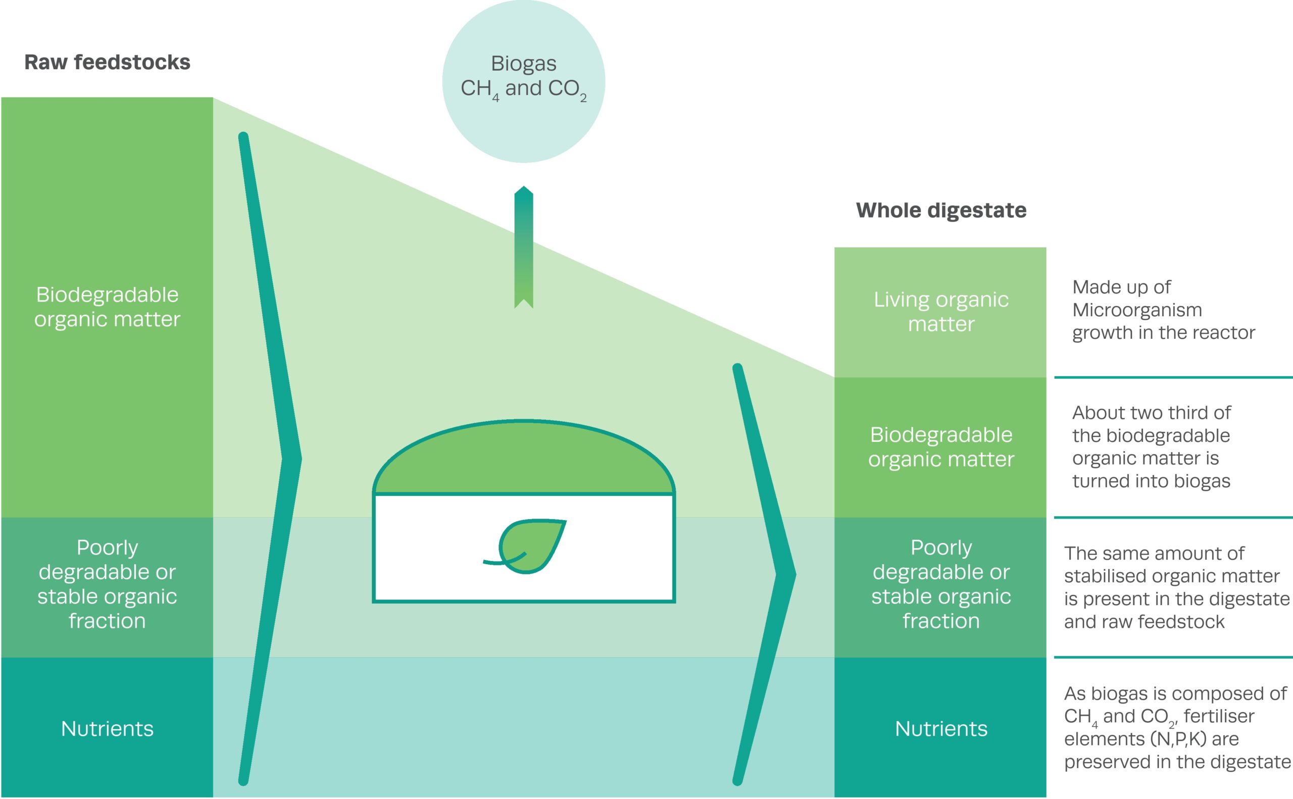 The anaerobic digestion process