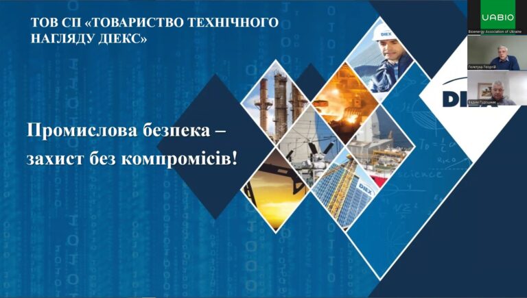 Фрагмент з презентації Вадима Гудошника про компанію ДІЕКС