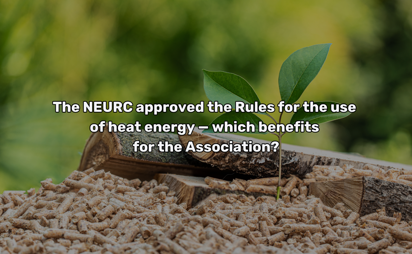 The NEURC approved the Rules for the use of heat energy — which benefits for the Association?