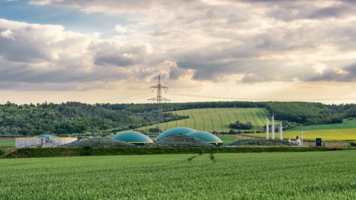 Біометан у газмережах ЄС: огляд країн-членів та п’яти найбільших ринків біометану ЄС