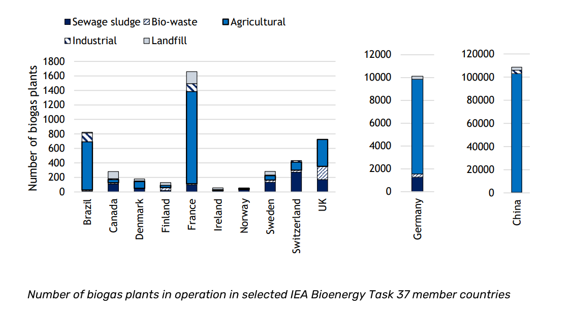 State of the biogas industry in 12 countries: review of the report by IEA Bioenergy