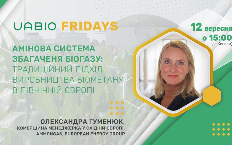 Амінова система збагаченя біогазу: традиційний підхід виробництва біометану в Північній Європі