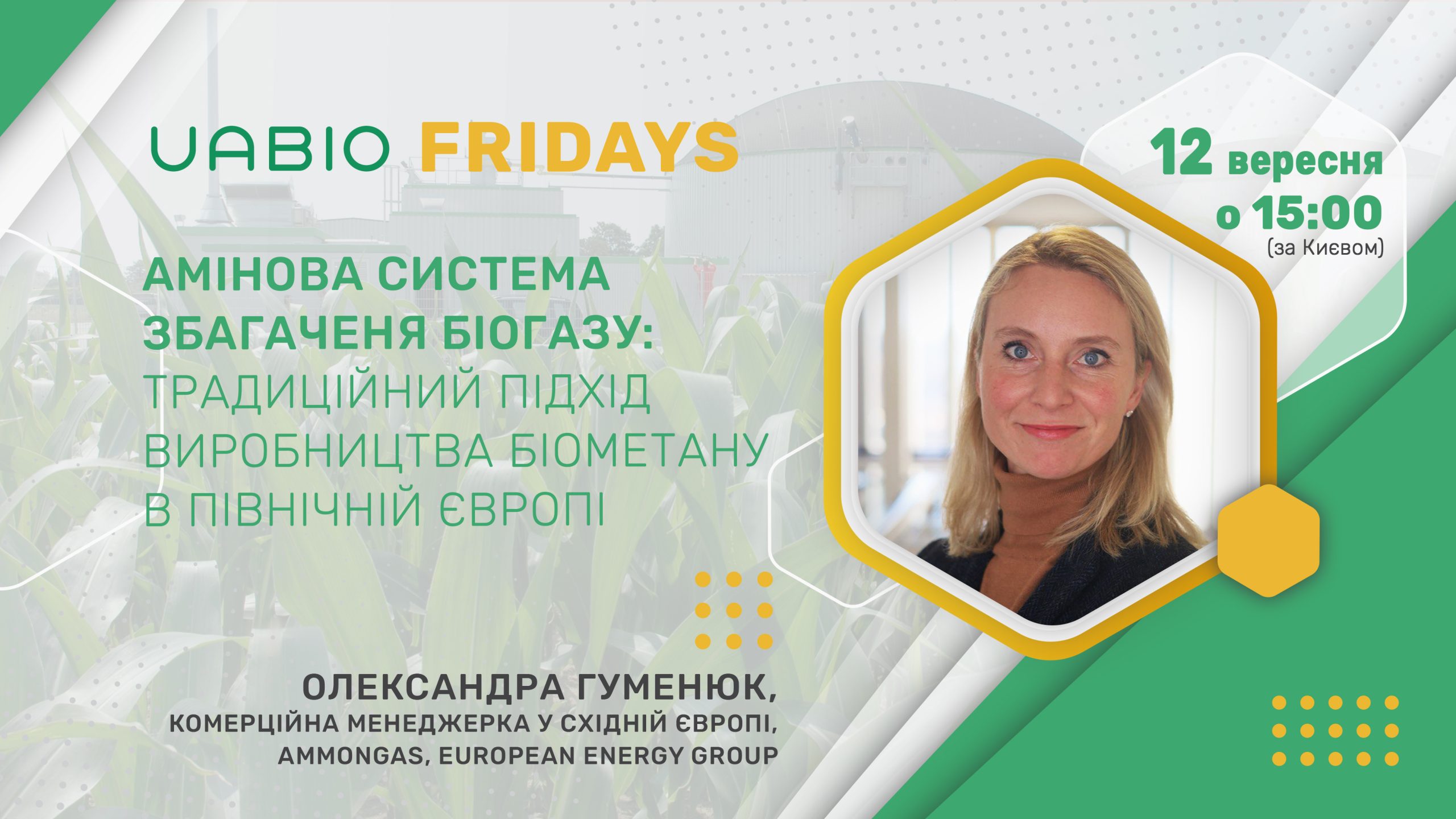 Амінова система збагаченя біогазу: традиційний підхід виробництва біометану в Північній Європі