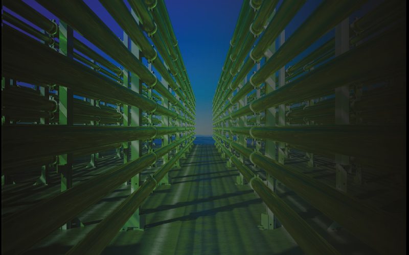 Аналітична записка №3: Виробництво передового біометану з мікроводоростей, вирощених на дигестаті біогазових установок в Україні