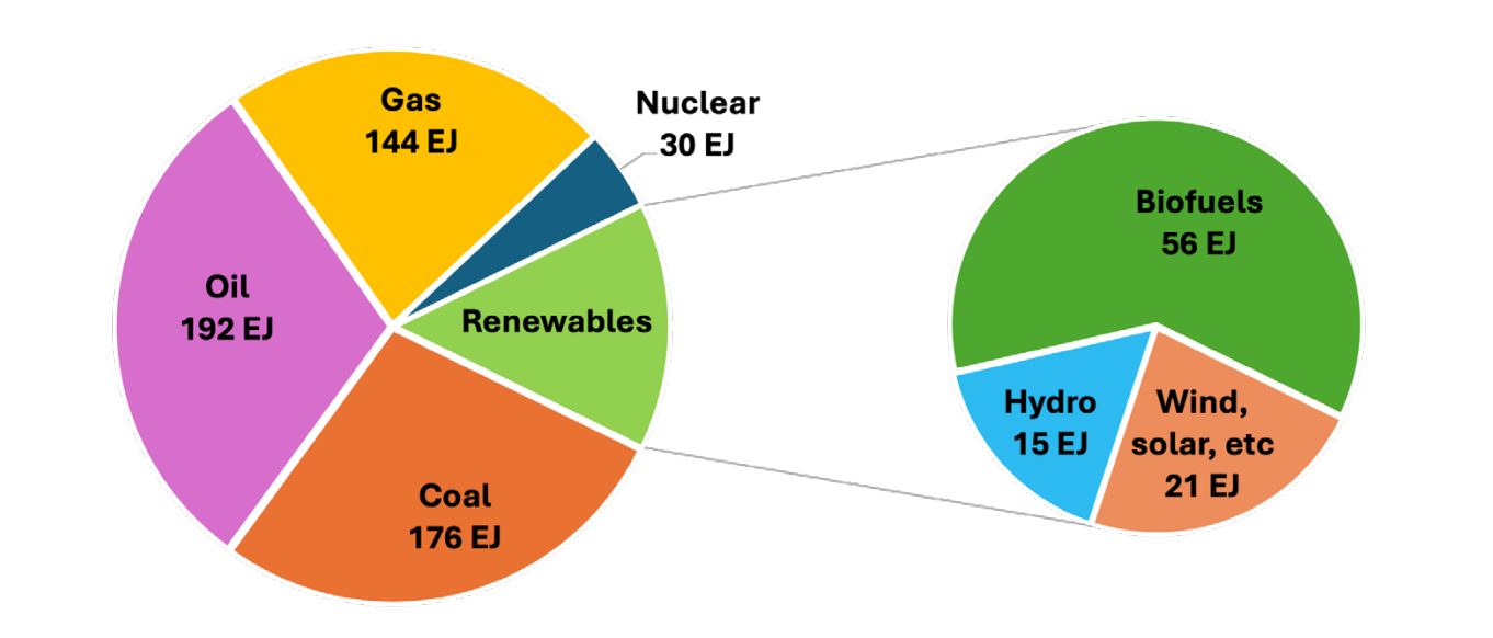Global Total Energy Supply in 2023. Source: IEA.