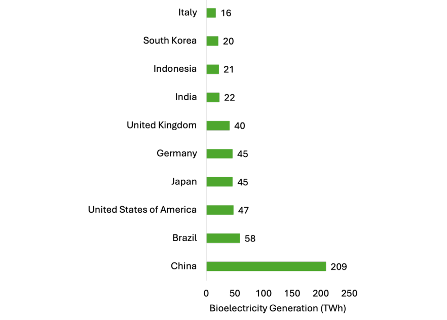 Top 10 Countries with the Largest Bioelectricity Generation in 2024.