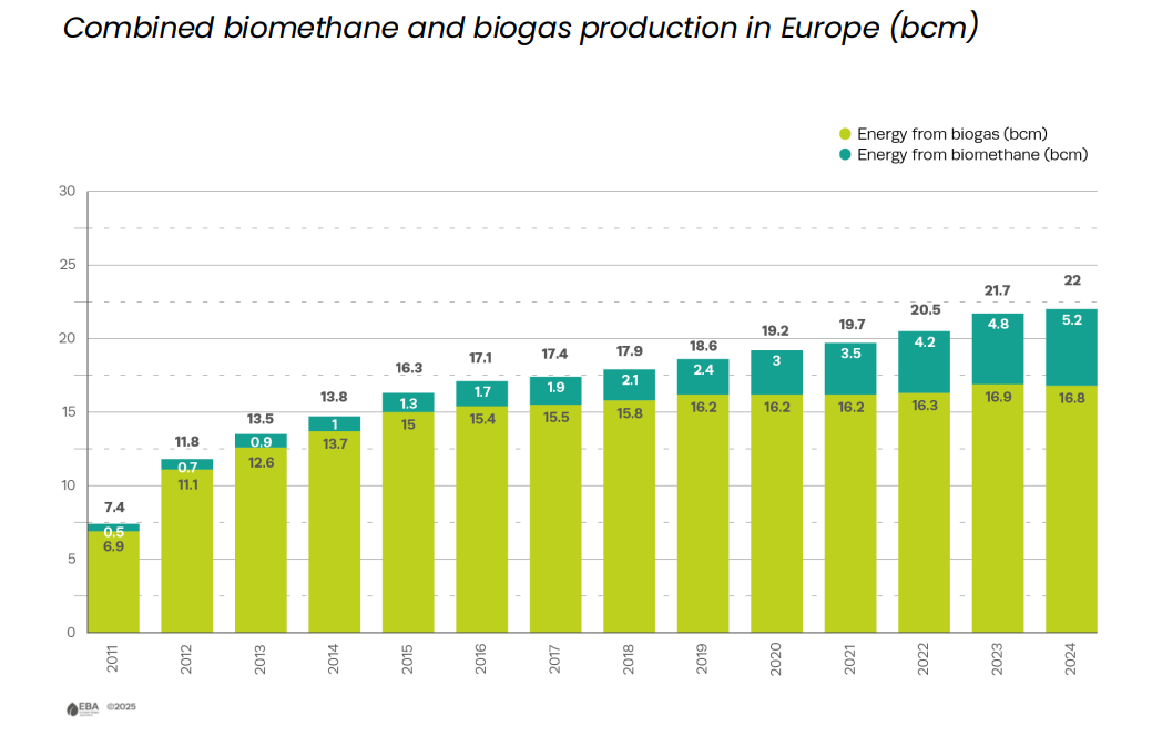 Звіт демонструє помірне зростання виробництва біогазу та біометану (22 млрд куб. м у 2024 році порівняно з 21,7 млрд куб. м у 2023 році)
