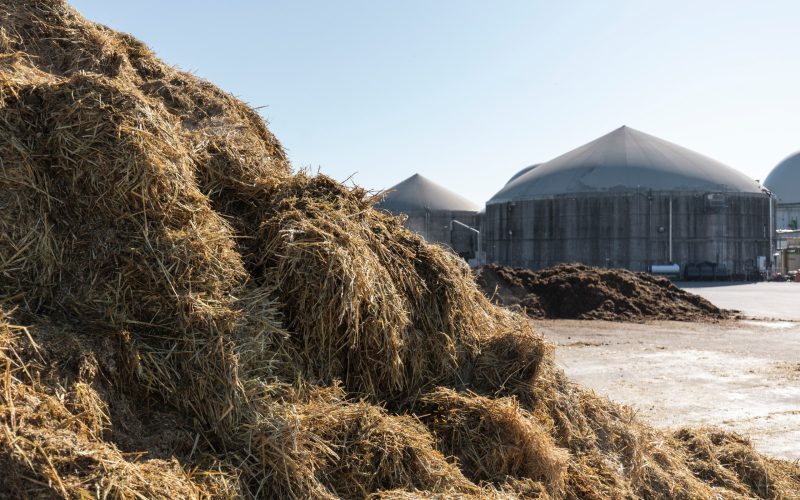 Стратегія біоекономіки ЄС — біогаз та біометан у центрі уваги