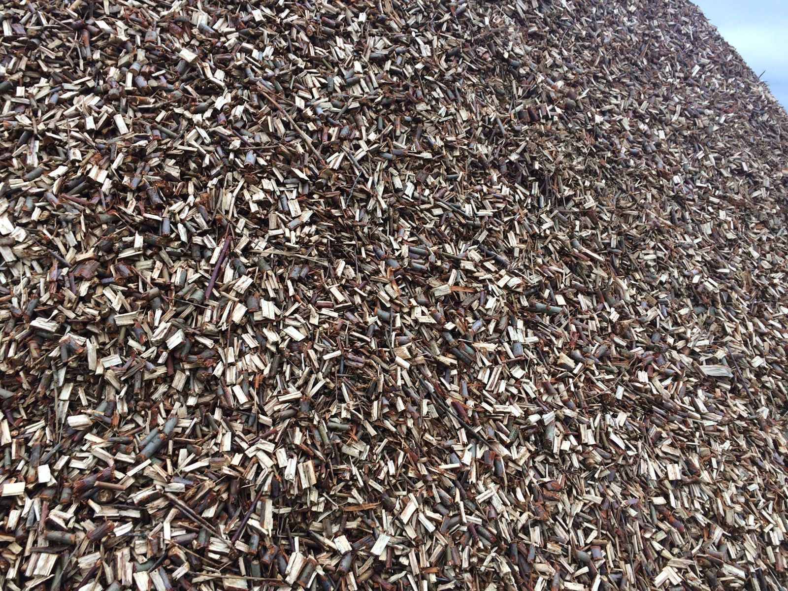 Готова продукція компанії — тріска з верби. Джерело зображення: РБК-Україна з посиланням на Salix Energy.