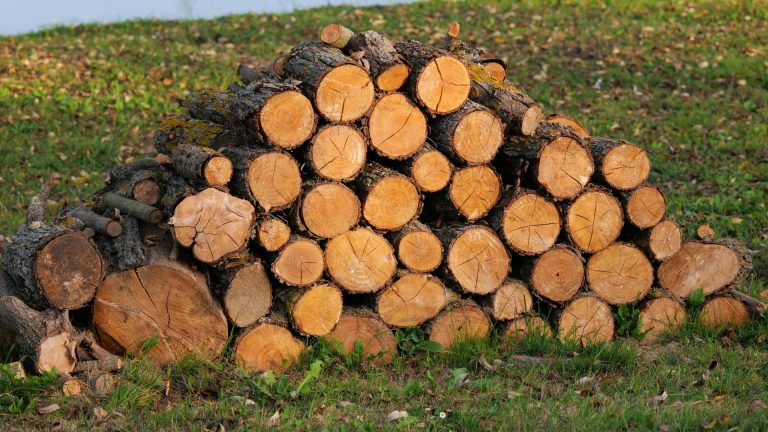 Публічні закупівлі твердого біопалива в Україні: новий інтерактивний дашборд від UABIO!