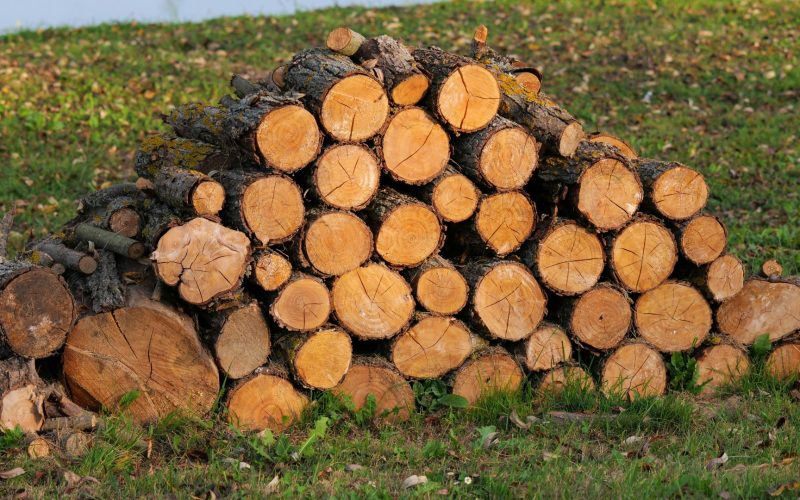 Публічні закупівлі твердого біопалива в Україні: новий інтерактивний дашборд від UABIO!